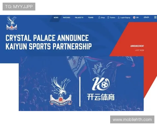 开云体育app的用户评价与实用技巧分享帮助优化体验